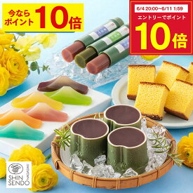 【6/4(木)18時開始★ポイント10倍】 お中元 2026 ようかん カステラ [ 御中元 和菓子 お菓子 スイーツ プレゼント ギフト 羊羹 あんこ 餡子 国産 スイーツギフト 誕生日 ランキング 長崎心泉堂 ] セット SGVH