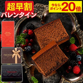 バレンタイン お菓子 [ 早割 義理チョコ チョコ チョコレート 個包装 小分け バレンタインデー ギフト 義理 限定 大量 ばらまき お配り 会社 職場 学校 おしゃれ おすすめ ランキング 長崎心泉堂 ] ショコラ・テラ 個包装 VD1D