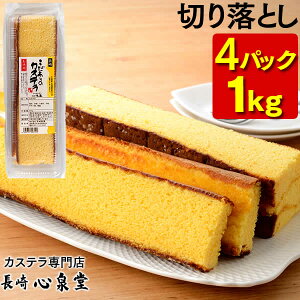  JXe ؂藎Ƃ 4pbN 1kg [ 󂠂 XC[c JXe َq p K̉FJXe Ăَq aَq  lߍ킹 AEgbg  ؂[ 