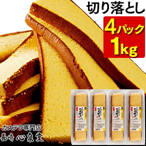 JXe ؂藎Ƃ 4pbN 1kg [ 󂠂 XC[c َq p K̉FJXe Ăَq aَq P[L  lߍ킹 AEgbg  ؂[ i 