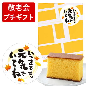 敬老会 記念品 プチギフト [ 敬老の日 プレゼント デイサービス お菓子 施設 ギフト 300円台 デイサービス 敬老の日 敬老ギフト 和菓子 大量注文 お年寄り 老人ホーム 長寿祝い ご長寿 粗品 おじいちゃん おばあちゃん ランキング 長崎心泉堂 ] カステラ 個包装 TK20