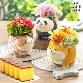 花とスイーツ ギフト [ 花 プリザーブドフラワー プレゼント お菓子 ギフト 食べ物 スイーツ プリザ カステラ 和菓子 ねこ 犬 パンダ 花とお菓子 誕生日 記念日 長崎心泉堂 ランキング ] 選べる 動物プリザ スイーツ セット TO71