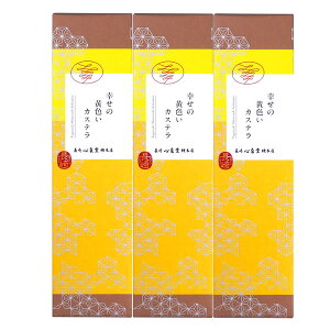 K̉FJXe0.63{ SL T600x3