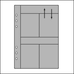 ASHFORD@A5TCYVXe蒠ptB J[hz_[