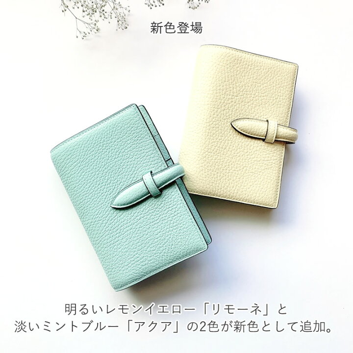 楽天市場】ブレイリオ Brelio モルビド ミニ6サイズ システム手帳 6穴 