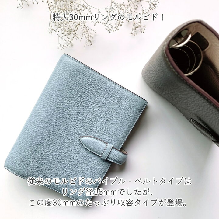 楽天市場】ブレイリオ システム手帳 モルビド バイブルサイズ ベルト 
