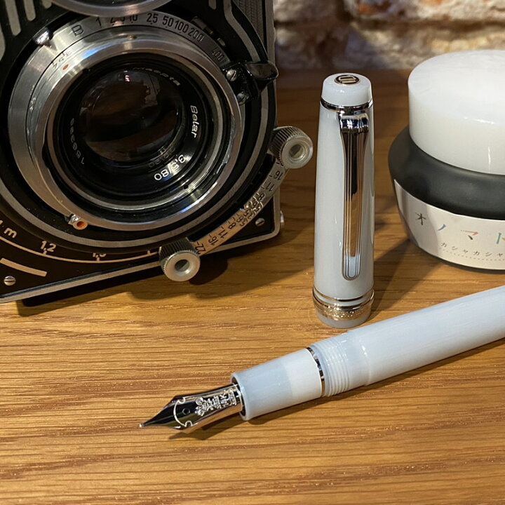 楽天市場】NAGASAWA オリジナル万年筆 オノマトペ プロギアスリム 