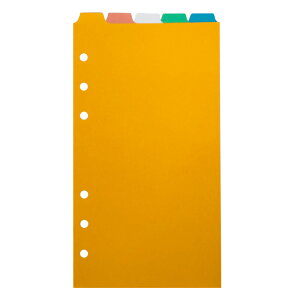 ASHFORD/AVtH[h VXe蒠tB oCu J[CfbNX CgJ[ gbv5i 0382-100