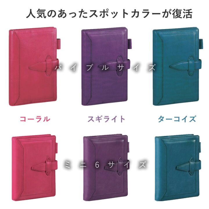 楽天市場】レイメイ ダビンチ ロロマクラシック 10周年限定 システム  
