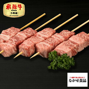 yōz I A5 ˋ  10{ 5 ̓ ̓ Mtg Hו v[g ̓Mtg ̂Ή BBQ  Ŕˋ 񂹃O