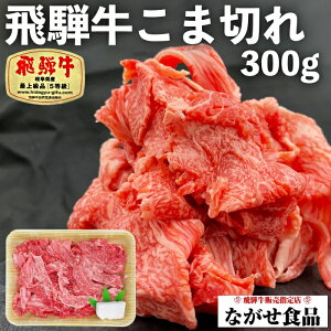 A5  ˋ ܐ؂ ؂藎Ƃ 300g Ⓚ ̂Ή Ε  ̓ ̓ N j Mtg  O  a Y   ؗƂ  Ⴊ 