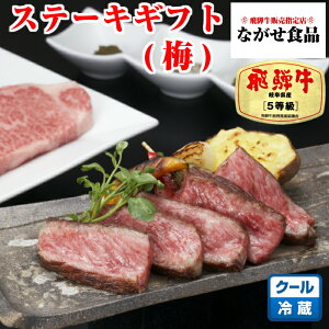 yōz ˋ ؂ Xe[L Mtgp (~) A5 I ~  500g (100g 5) ̂Ή I јa ē   Mtg ̓ ̓ Hו v[g ̓Mtg  