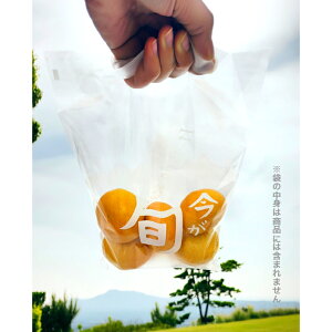 y|܁z { It is in season now hܑ i񂰕 100j  ʕ ̔ _  yY A    