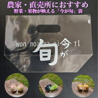 【ポリ袋 100枚入】 横260×縦170 全体のマチ100mm 手提げ スタンドバッグ 防曇袋 今が旬 It is in seaso…