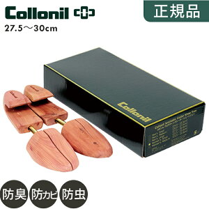 yKizRj V[L[p[ V[c[ (collonil) A}eBbN V_[L[p[ fB[X Y CPApi V[YPA ؐ  ^ hL h z h F uh