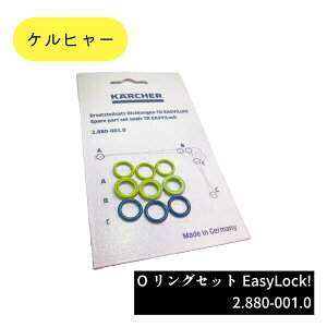 y 12܂ł̌ςœyjoOK  z 2.880-001.0 OOZbg EASY!LockΉi Ɩpi @ANZT[ Pq[ KARCHER ̔X   qǗ