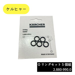 y 12܂ł̌ςœyjoOK  z 2.880-990.0 OOZbg5g Ɩpi @ANZT[ Pq[ KARCHER ̔X   qǗ