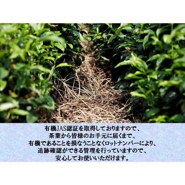 最大78%オフ! 自然栽培 三年晩茶 3gX30TB 無肥料無農薬 奈良県産 ティーバッグタイプ millenniumkosovo.org