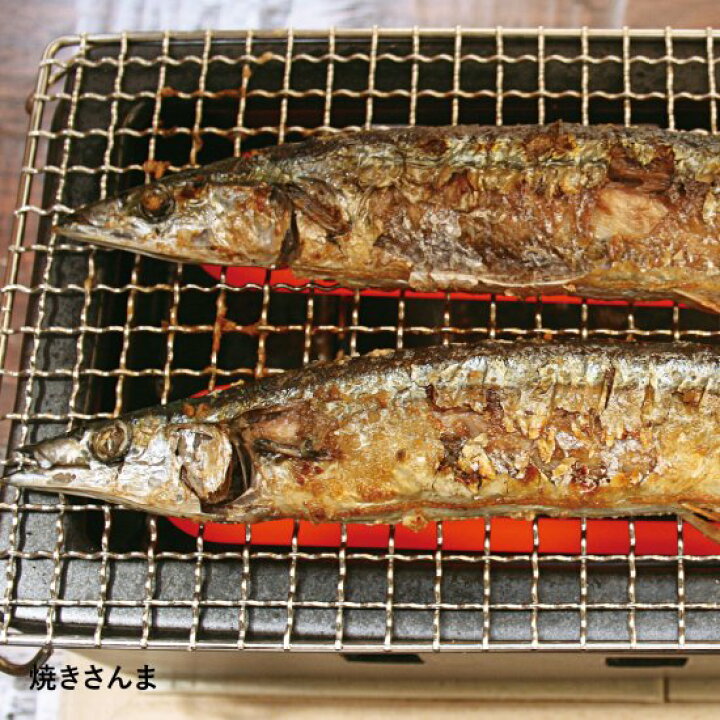 楽天市場】【公式】 あぶり名人 長角型 シーズヒーターコンロ 長谷園  