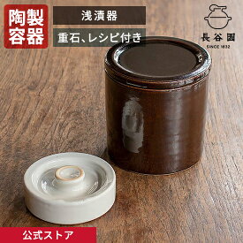 【公式】 浅漬器 1000ml 長谷園 浅漬け容器 漬物 漬物容器 ぬか床 ぬか漬け 冷蔵庫 機能土鍋 陶製 陶器 器 日本製 伊賀焼 iシリーズ キッチン用品 調理道具 ACT-32