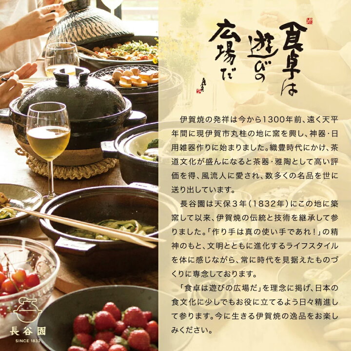 楽天市場】【公式】 あぶり名人 長角型 シーズヒーターコンロ 長谷園  