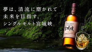 jbJ@VOg@{鋷@700ml@45x