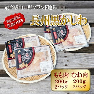 B킨ʃZbg pbN  ނ˓  ނ Zbg v800g [{{ n{ R s Jbgς { MtgΉ ỷwZULb`z