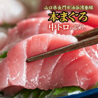 【やまぐちECエール便】【刺身用】本マグロ 中トロ 約150g（1人前） 冷凍 山口県長門市油谷湾養殖 送料無料
