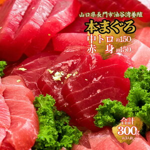 yyVX[p[SALE20OFFzz{B{܂ gԐg300gZbg(܂Ƃߊ16%OFF) 3lO g150gEԐg150g(hgp^Ⓚ)biꕔn揜j