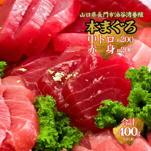 y܂Ƃߊ18%OFFz{B{܂ gԐg400gZbg(6lO) g200gEԐg200g(hgp^Ⓚ)biꕔn揜j