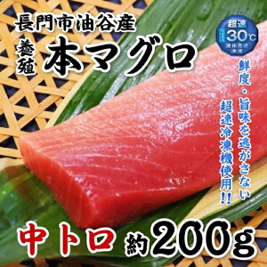 JY {B {}O g 200g R s   {B }O ܂  200g 蔲Q Ƃ낯 Ⓚ  Ƃ g 𓀃Vs MtgỷwZULb`z