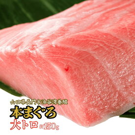 【刺身用】本マグロ 大トロ 約150g（1人前） 冷凍 ご褒美 刺身盛り合わせ代替 山口県長門市油谷湾養殖 送料無料