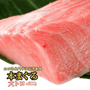 JY {B {}O g 200g bhgpEⓀE󏭕ʁE𓀃Vstbiꕔn揜j