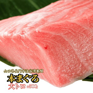 JY {B {}O g 500g R s JY   }O ܂  蔲Q Ƃ낯 Ⓚ  g Ƃ 𓀃Vs Mtg ỷwZULb`z