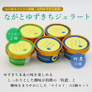 䂸WF[gZbg v5 䂸 䂸 RIWik WF[g ACX WF[gZbg Zbg s ZULb` ACXN[ Ⓚ Mtg 