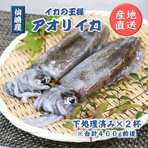 アオリイカ 刺身の人気商品 通販 価格比較 価格 Com