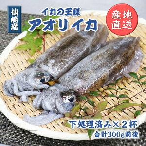 Y AICJ 2t s G   CJ R s ^  }Ⓚ hg  uԗⓀ ỷwZULb`z