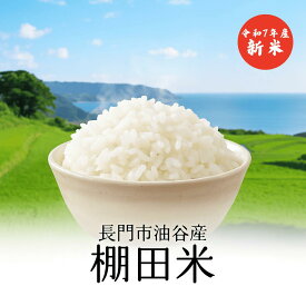 【新米 令和7年産】山口県長門市油谷 棚田百選の地で育った 棚田米 きぬむすめ《精米・玄米》順次発送