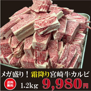 K ~ {苍Jr 1.2Kg  A4 A5 N ē o[xL[ BBQ { {苍  Lv {茧Y јa Ⓚ A4 A5 N ē a uh Mtg v[g  