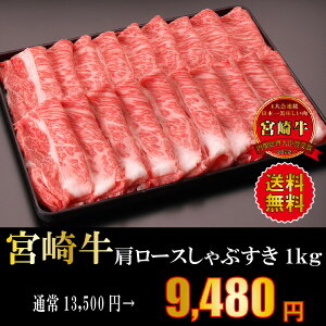 {苍[XԂp500g×2   Ԃ Ă {茧Y јa Ⓚ A4 A5 N a uh Mtg v[g  Y {