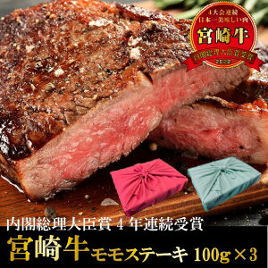 {苍Xe[L@100g×3@  Xe[L {茧Y јa Ⓚ A4 A5 N a uh Mtg v[g  Y {