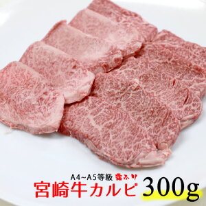 A5 宮崎牛の人気商品 通販 価格比較 価格 Com