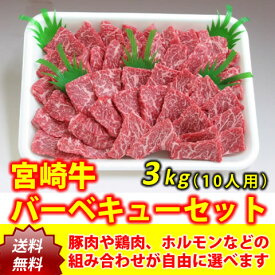 宮崎牛バーベキューワイワイセット10人用（3kg）【送料無料】（肉、セット、大人数、パーティー、豚肉、鶏肉、ホルモン、焼肉）
