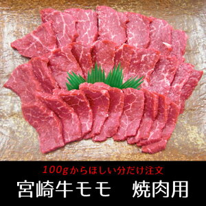 A5 宮崎牛の人気商品 通販 価格比較 価格 Com A5 宮崎牛の人気商品 通販 価格比較 価格 Com