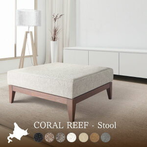 gݍ킹Ďg\t@[ 1l| Ibg} i Y _ Vv n rO Ƒ  I[V[Y CORAL REEF