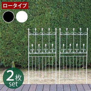 I[hVg[tFX150 [^Cv 2gy tFX ACA K[ftFX K[fjO g  d؂ ډB  NVJ AeB[N gX x_  K