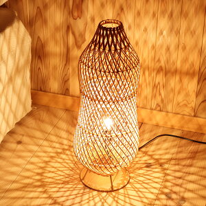 ^ X^h v s[ibc AWA ԐڏƖ ov iCg CeBO