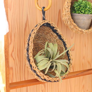 V[OX W[g hbv nMOoXPbg v^[   [ AWAG i` nCA