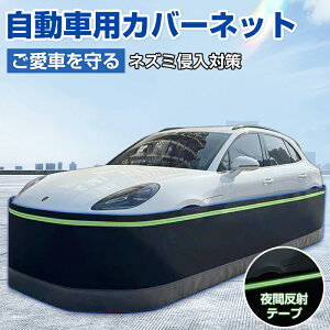 ԃXJ[g hl XJ[g lbg tFX hlbg x@۔ lY~ L悯 悯 {fBJo[ ˃e[v XeX| J[Jo[ ԃJo[ TVF[h J[{fB[