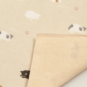 _l aZ~EHbV ߂QlR [ nh^I ^InJ` Z~EIbV ˂ L lR yw